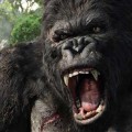 king_kong_slide