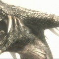 demons_souls_screen_020