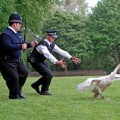 Hot_Fuzz_screen_06
