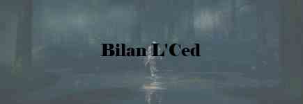 bilan_2013_lced