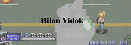 bilan_vidok_bandeau