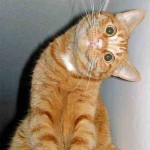 archaic-chat