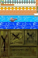 madagascar_DS_002