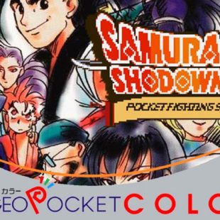 Samurai Spirits! 2 Pocket Fighting Series